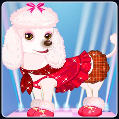 My Cute Dog Daisy